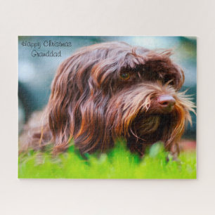 Havanese Dog. Jigsaw Puzzle