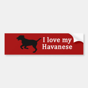 Havanese Dog Love Bumper Sticker