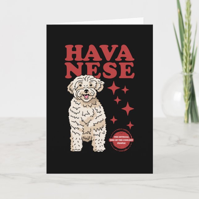 Havanese Dog Of The Coolest | Havaneses Card (Front)