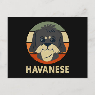Havanese   Dog Owner Havaneses Postcard