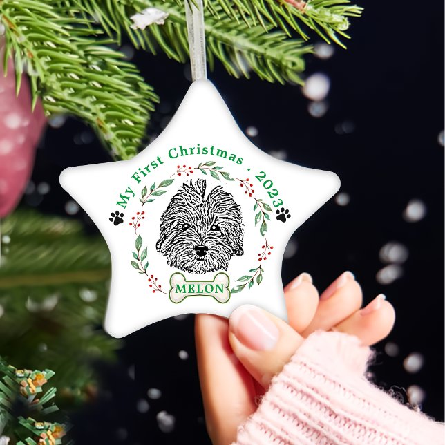 Havanese Dog Personalised Hand Drawing Ceramic Ornament (Creator Uploaded)