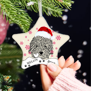 Havanese Dog Personalized Hand Drawing Ceramic Ornament