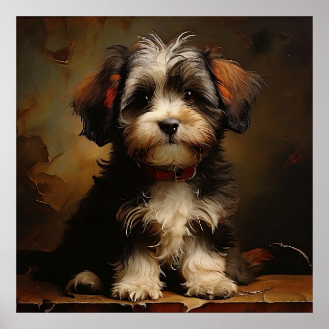 Havanese dog Puppy Realism Square Portrait Poster (Front)