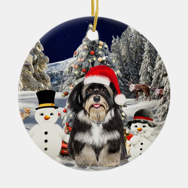 Havanese Dog Sitting In Snow Christmas Hat Lights Ceramic Ornament (Front)