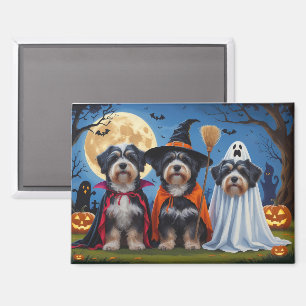 Havanese Dogs Pumpkin Halloween Funny  Magnet