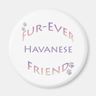 Havanese Furever Magnet