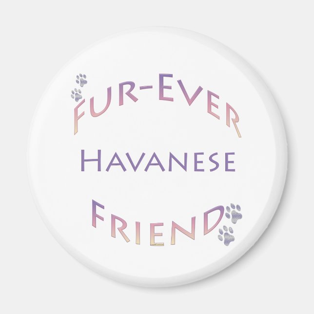Havanese Furever Magnet (Front)