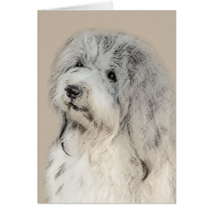 Havanese (Gold Sable) Painting - Original Dog Art