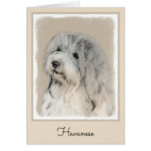 Havanese (Gold Sable) Painting - Original Dog Art