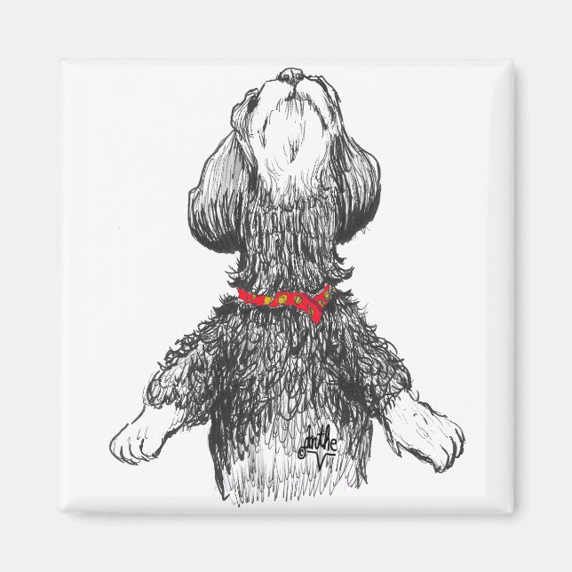 Havanese Happiness - Dancing pup! Magnet (Front)