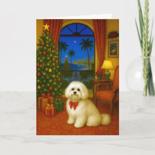 Havanese Holiday Card