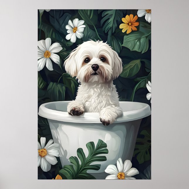 Havanese In Bathtub Poster, Funny Dog Poster (Front)