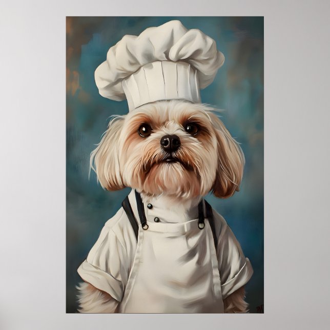 Havanese In Chefs Hat Poster, Pet Poster, Havanese Poster (Front)