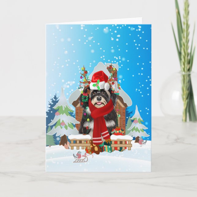 Havanese in snow with Christmas gifts  Card (Front)