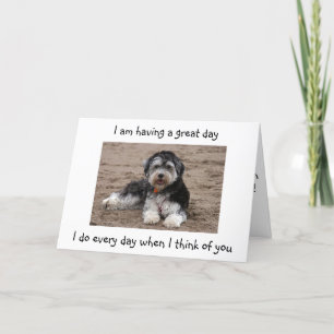 HAVANESE IS HAVING A GREAT DAY-TWIN'S BIRTHDAY CARD