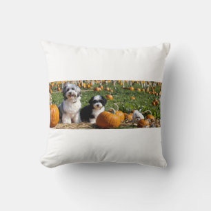 Havanese Mum and Pup in Pumpkin Patch – Fall Dog  Cushion