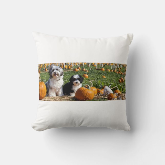 Havanese Mum and Pup in Pumpkin Patch – Fall Dog  Cushion (Front)