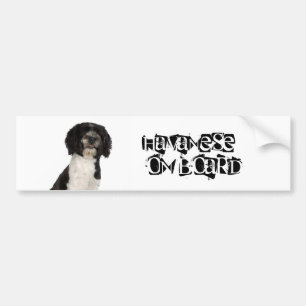 Havanese on Board Bumper Sticker
