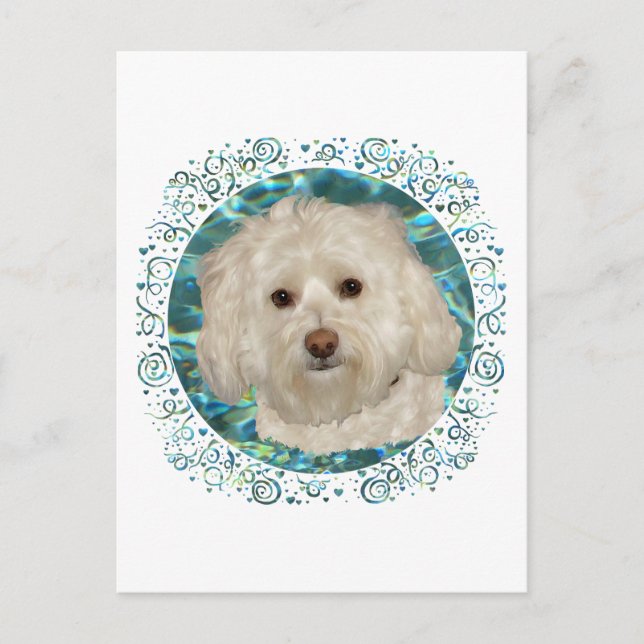 Havanese on Turquoise Water Postcard (Front)