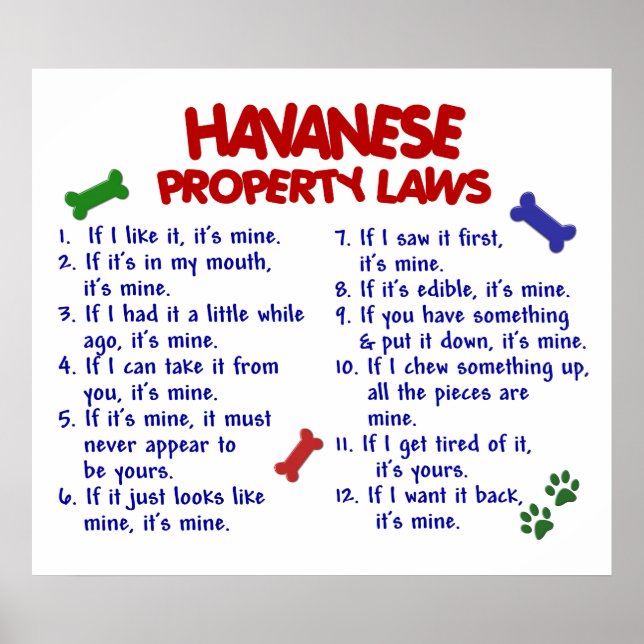 HAVANESE PL2 POSTER (Front)