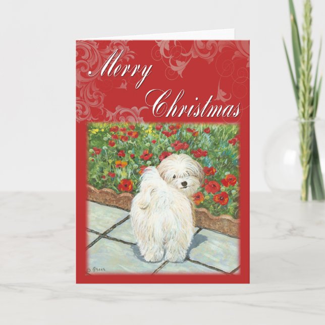 Havanese Poppy Christmas Gifts and Cards (Front)