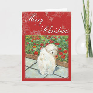 Havanese Poppy Christmas Gifts and Cards