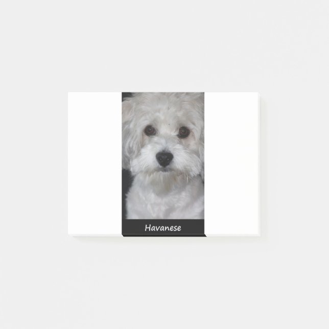 Havanese Post-it Notes (Front)