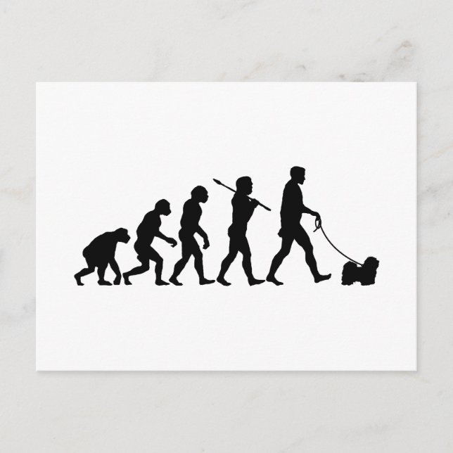 Havanese Postcard (Front)