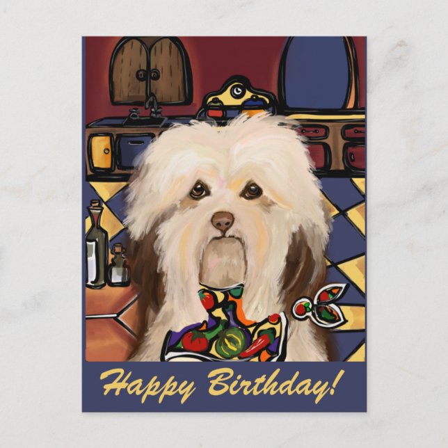 HAVANESE     POSTCARD (Front)