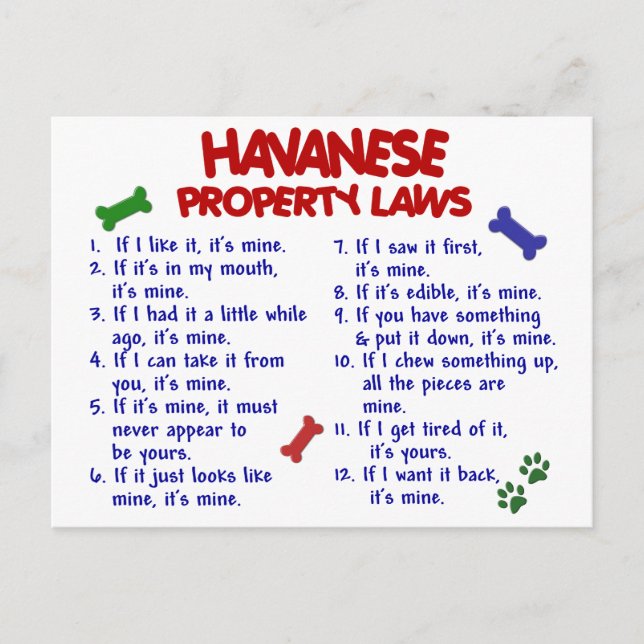 HAVANESE Property Laws 2 Postcard (Front)