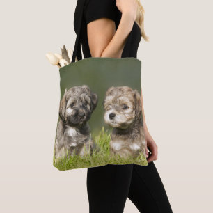 Havanese Puppies Tote Bag