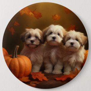 Havanese Puppy Autumn Delight Pumpkin 6 Cm Round Badge