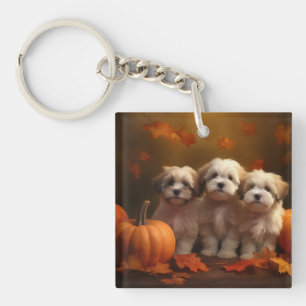 Havanese Puppy Autumn Delight Pumpkin Key Ring