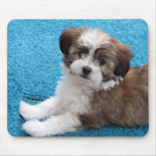 Havanese Puppy - Customised Mouse Pad