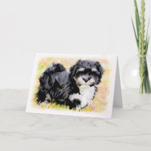 Havanese Puppy Greeting Cards