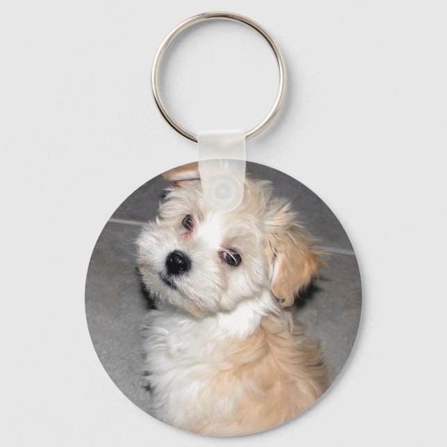 Havanese Puppy Key Ring (Front)