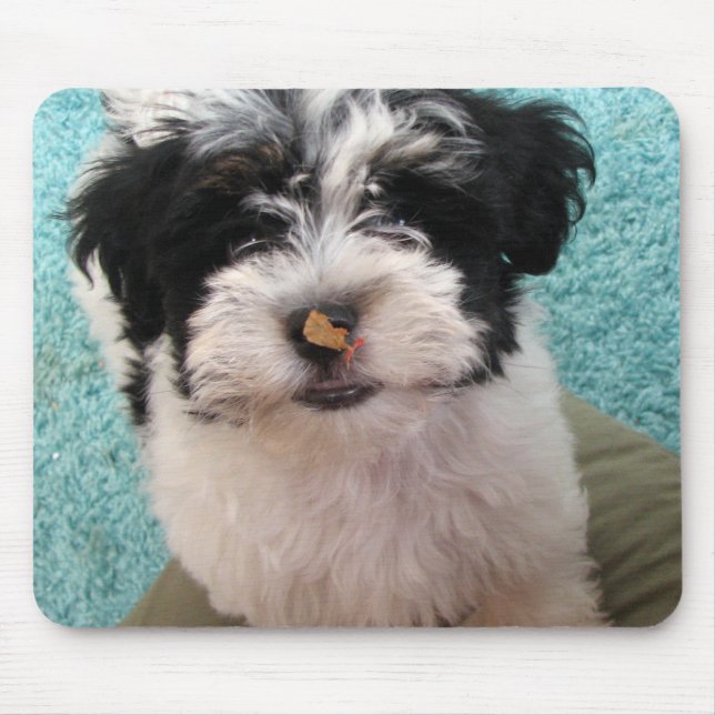 Havanese Puppy Mouse Pad (Front)
