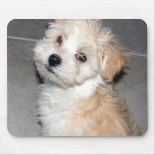 Havanese Puppy Mouse Pad