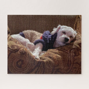 Havanese Puppy Napping - Jigsaw Puzzle