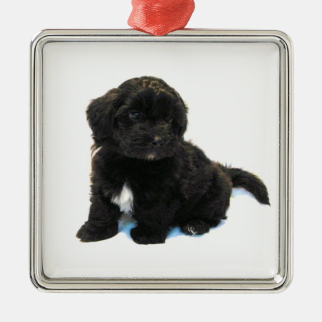 ***Havanese Puppy*** Ornament (Front)