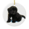 Havanese Puppy Ornament