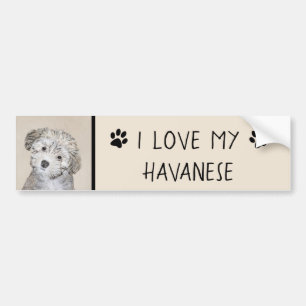 Havanese Puppy Painting - Cute Original Dog Art Bumper Sticker