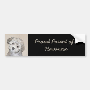 Havanese Puppy Painting - Cute Original Dog Art Bumper Sticker