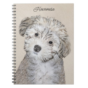 Havanese Puppy Painting - Cute Original Dog Art Notebook