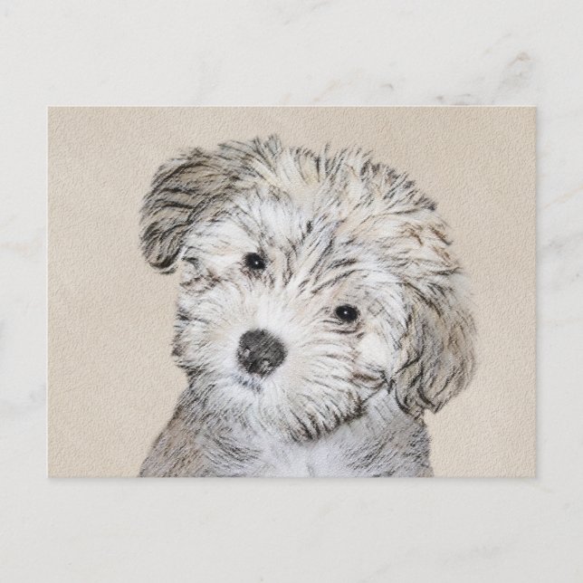 Havanese Puppy Painting - Cute Original Dog Art Postcard (Front)