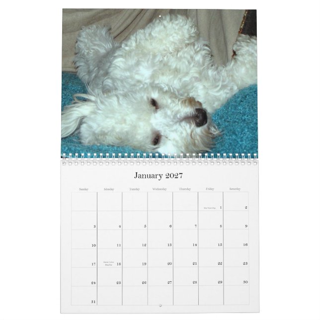 Havanese Puppy Rescue Calendar 2012 (Jan 2027)