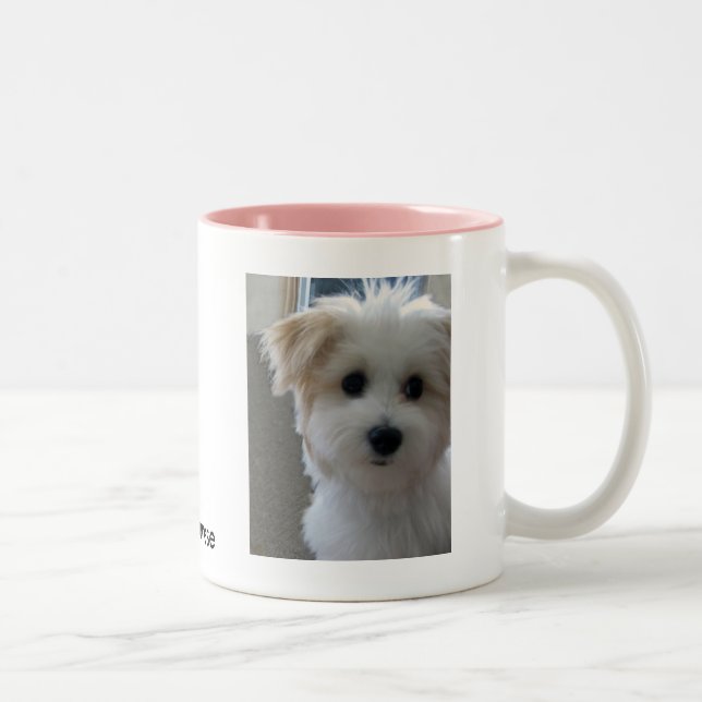 Havanese Puppy Two-Tone Coffee Mug (Right)