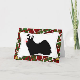 Havanese Reindeer Christmas Card