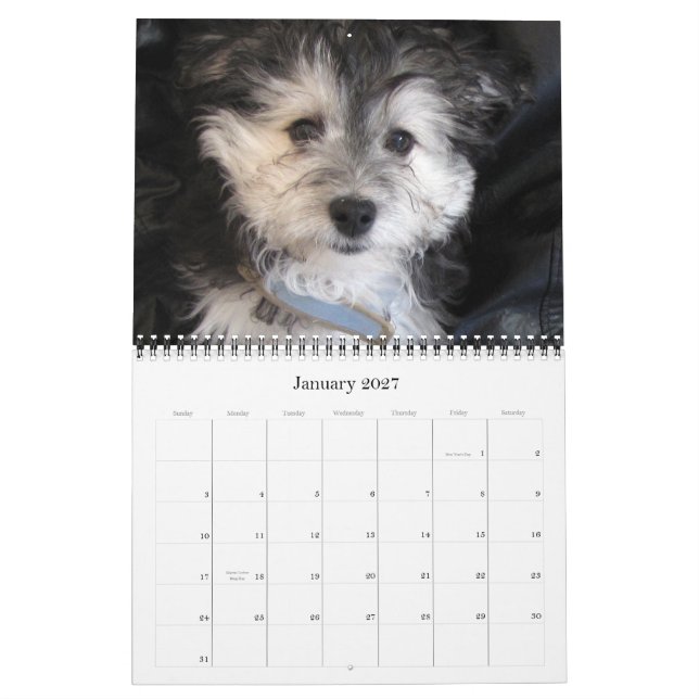 Havanese Rescu Puppies 2011 Calendar (Jan 2027)