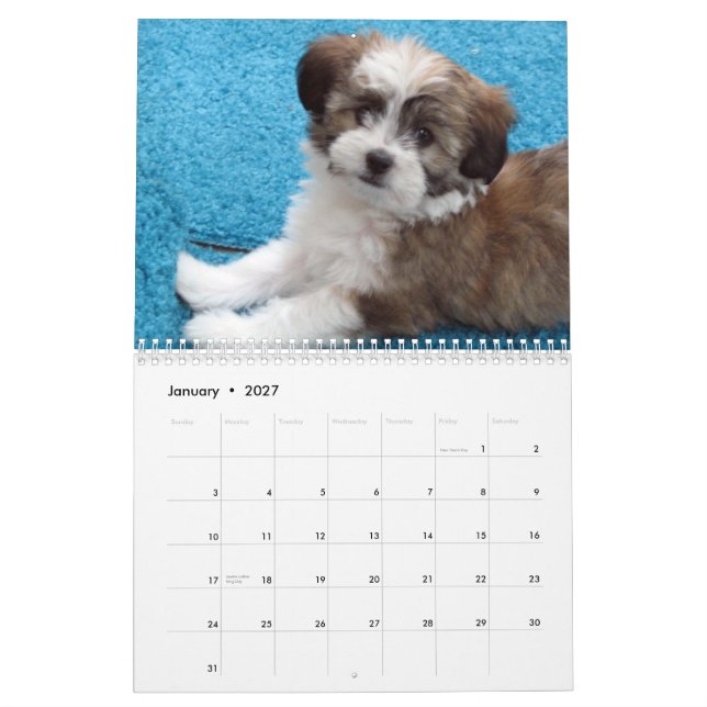 Havanese Rescue Puppies 2012 Calendar (Jan 2027)